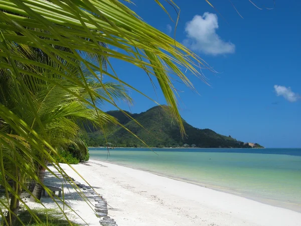 Einsamer Strand 4 — Stockfoto