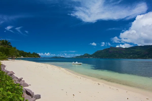 White Cerf beach 1 — Stock Photo, Image