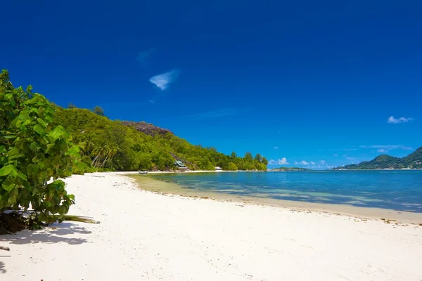 White Cerf beach 4 — Stock Photo, Image