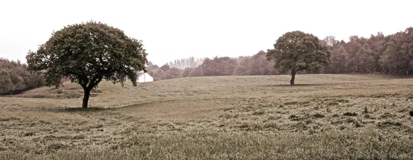 Englische Landschaft 2 — Stockfoto