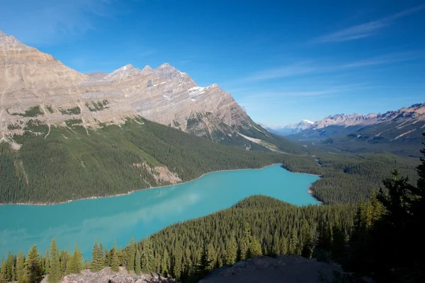 Lago Peyto 1 —  Fotos de Stock