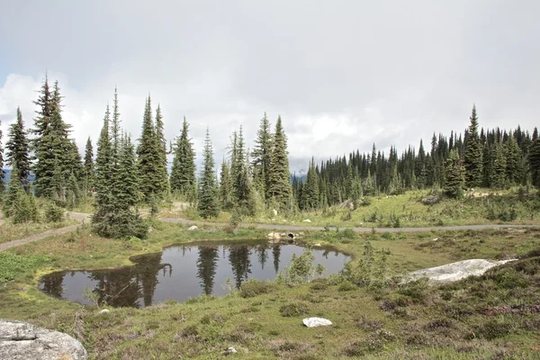 Stagno sulla montagna — Foto Stock