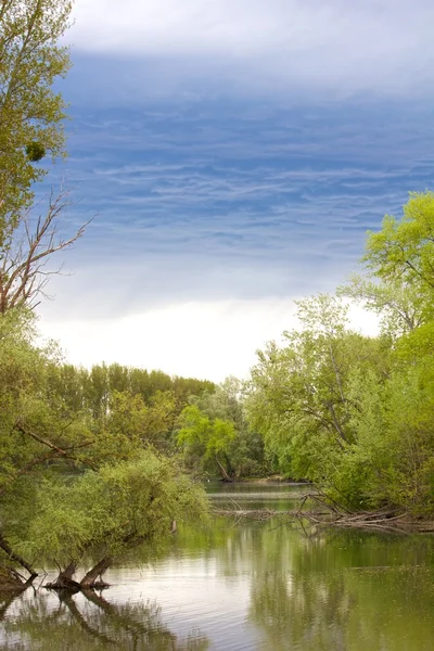 Regn över rheinauen — Stockfoto