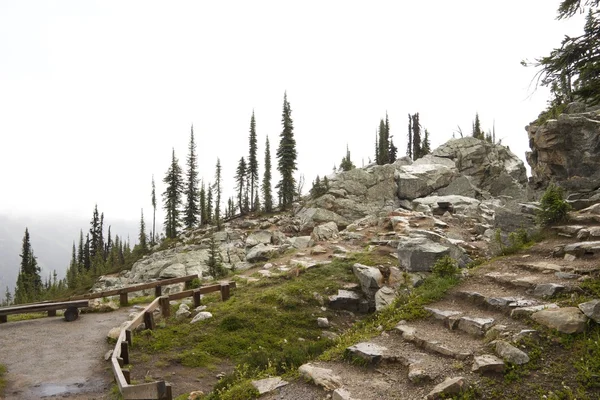 Stone stairs on Mt Revelstoke — Stock Photo, Image