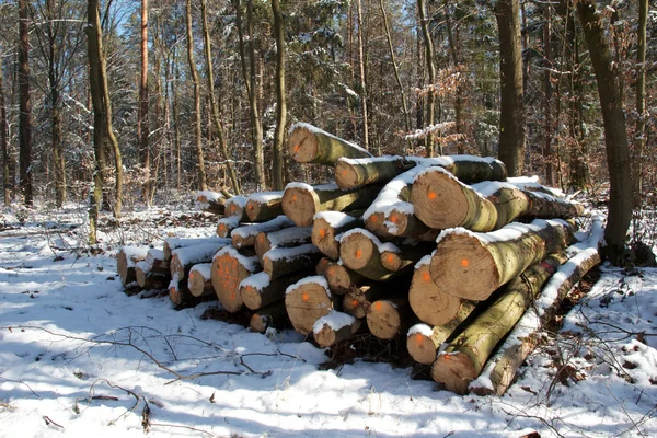 Lumber in the snow — Stock Photo, Image