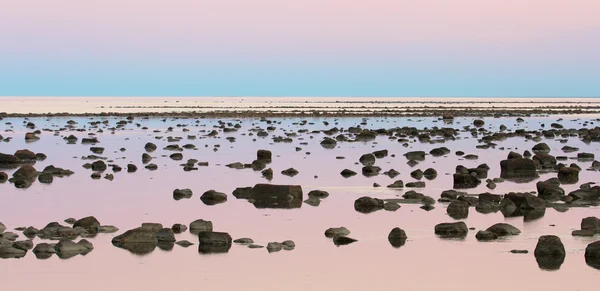 Hudson Bay Low Tide Stone Desert at dusk — Stock Photo, Image