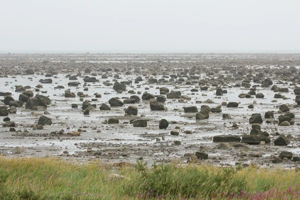 Hudson Bay Low Tide Stone Desert — Stock Photo, Image