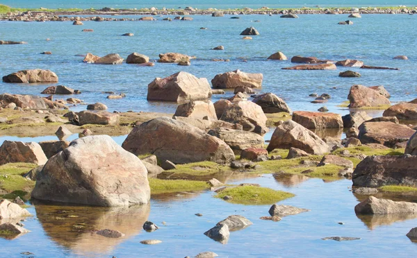 Hudson Körfezi düşük tide taş çöl — Stok fotoğraf