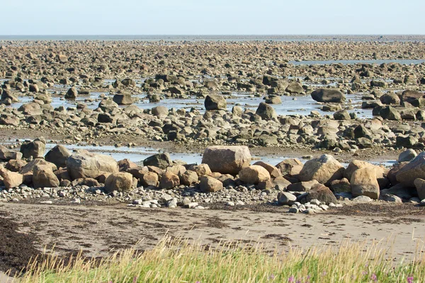 Hudson Bay Low Tide Stone Desert — Stock Photo, Image