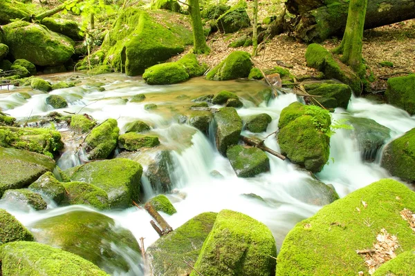Black Forest Brook 1 — Stock Photo, Image