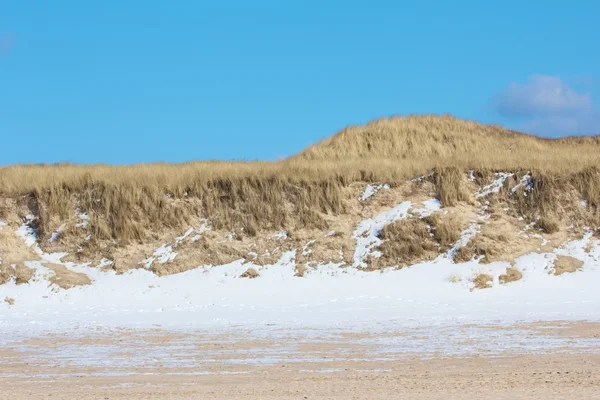 沙丘和雪 — 图库照片