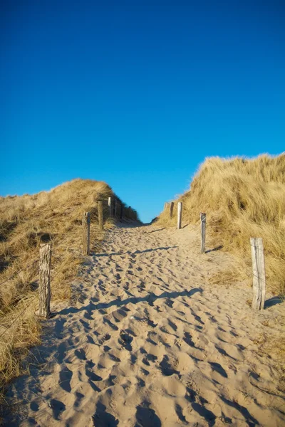 Sentier des dunes 1 — Photo