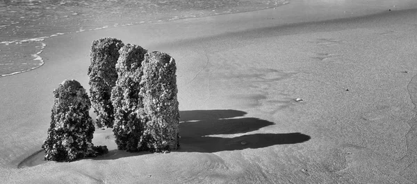 Four stones talking BW — Stock Photo, Image