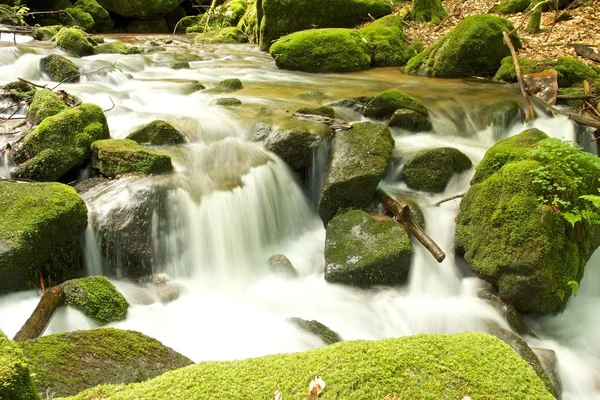 Gertelbach kadar yakın lt — Stok fotoğraf