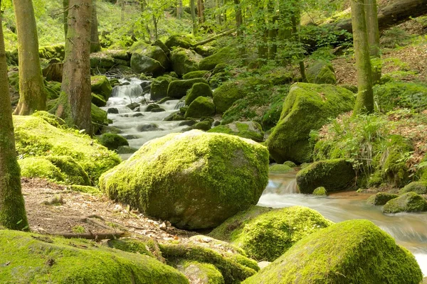 Pietra dello stregone — Foto Stock