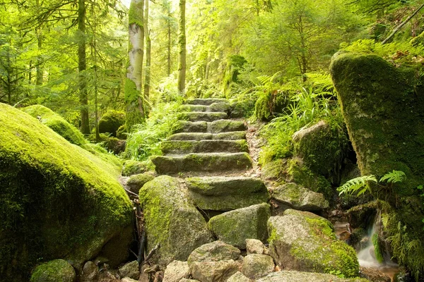 Escadas de pedra 2 — Fotografia de Stock