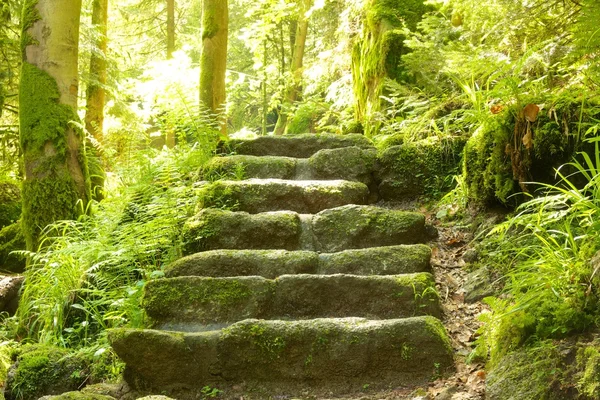 Stone stairs closeuo LT — Stock Photo, Image