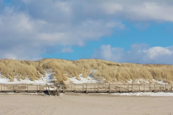 Paseo por las dunas — Foto de Stock