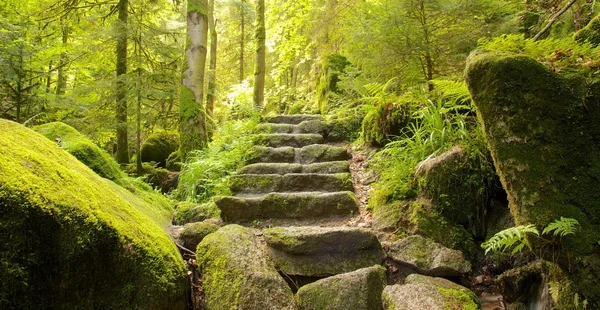 Steintreppe Stockfoto