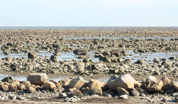 Hudson Bay Low Tide Stone Desert — Stock Photo, Image