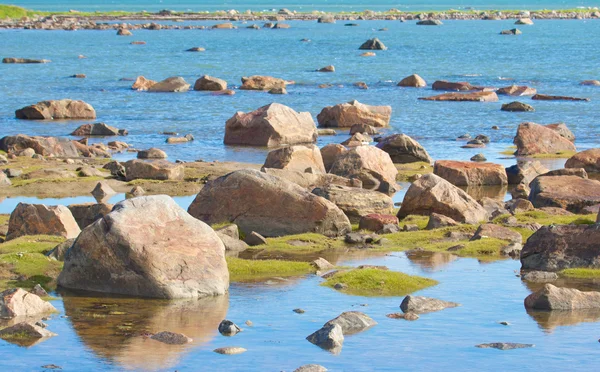 Hudson Bay Low Tide Stone Desert — Stock Photo, Image