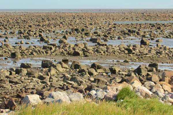 ハドソン湾低潮時石を砂漠します。 — ストック写真