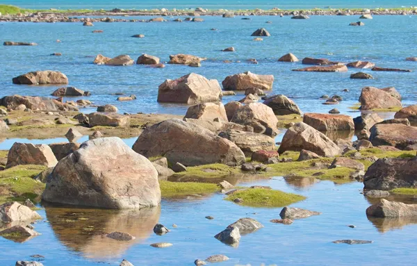 Έρημος Hudson bay άμπωτη πέτρα — Φωτογραφία Αρχείου