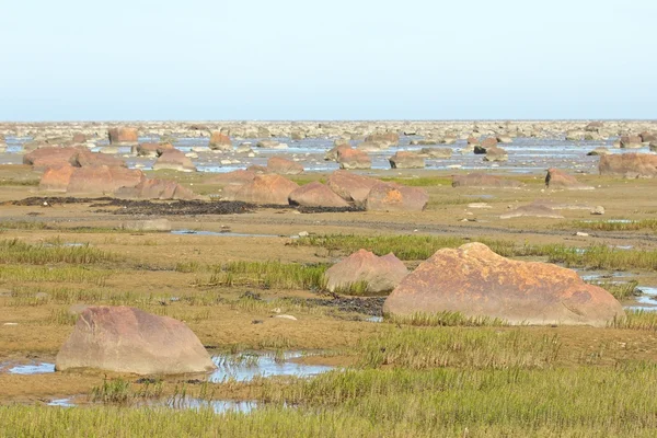 Baía de Hudson maré baixa pedra do deserto — Fotografia de Stock