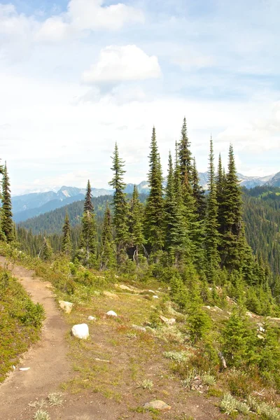 UNC-pad op mt revelstoke — Stockfoto