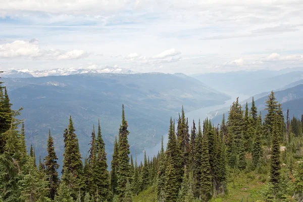 Visa från mt revelstoke — Stockfoto