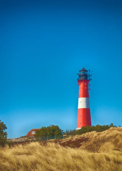 Phare entre les dunes HDR — Photo