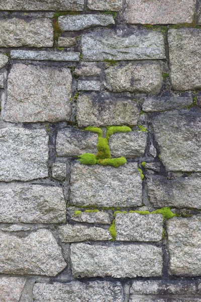 Cemetery Wall and moss closeup — Stock Photo, Image
