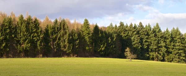 Am Rande des Schwarzwaldes — Stockfoto