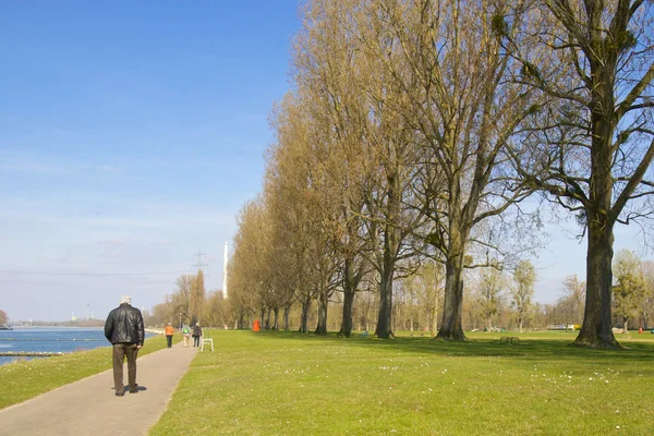 Seniorin spaziert am Rhein entlang — Stockfoto