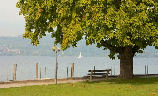 Lake view bench 1 — Stock Photo, Image