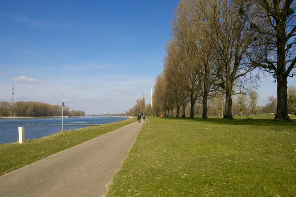 Chodník podél řeky Rýn — Stock fotografie