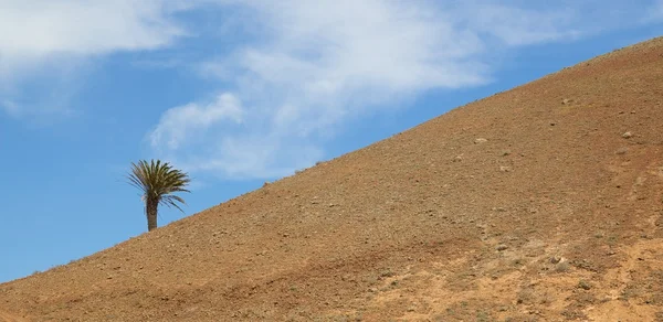 Colina Lanzarote e Palma 1 — Fotografia de Stock