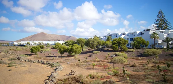 Lanzarote settlement and park — Stock Photo, Image
