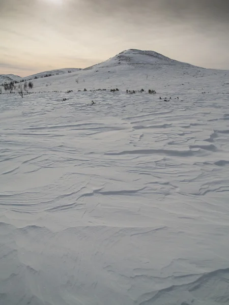 Paesaggio montano invernale sotto il basso sole invernale — Foto Stock