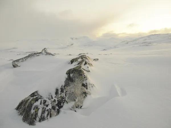 Arctische landschap in de winter bij het eerste licht — Stockfoto