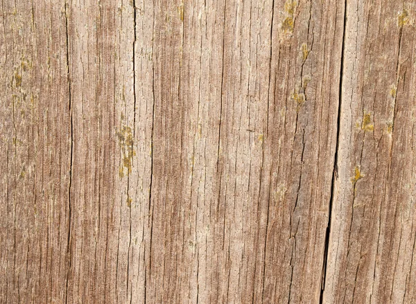 Cracked aged wood — Stock Photo, Image