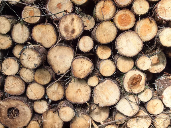 Boyutlanmış günlüklerinin pasta — Stok fotoğraf