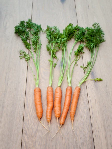 An arangement of fresh Carrots — Stock Photo, Image