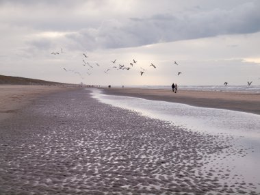 Winter beach landscape with walkers and seagulls clipart