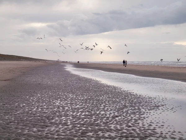 Paisaje de playa de invierno con caminantes y gaviotas — Foto de Stock