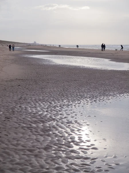 Strand winterlandschap — Stockfoto