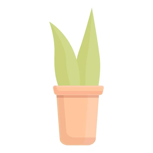 Planta suculenta icono de la maceta vector de dibujos animados. flor de oficina — Vector de stock