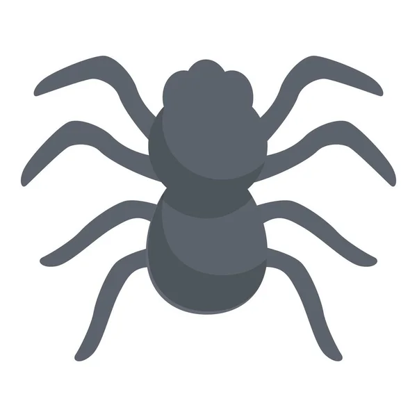 Spider bug icon cartoon vector. Widow animal — Stockový vektor