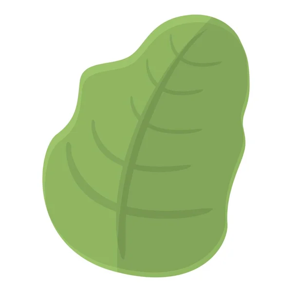 Spinach icon cartoon vector. Vegetable food — Vetor de Stock