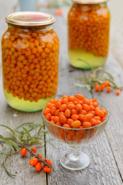 Deniz dikenli üzümleri